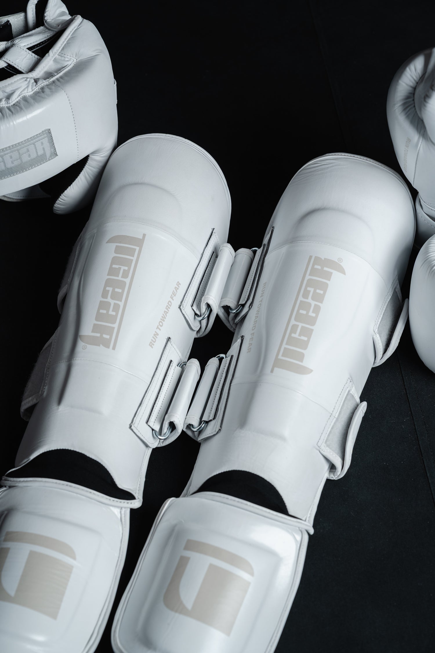 APEX4 Lunar Training Set