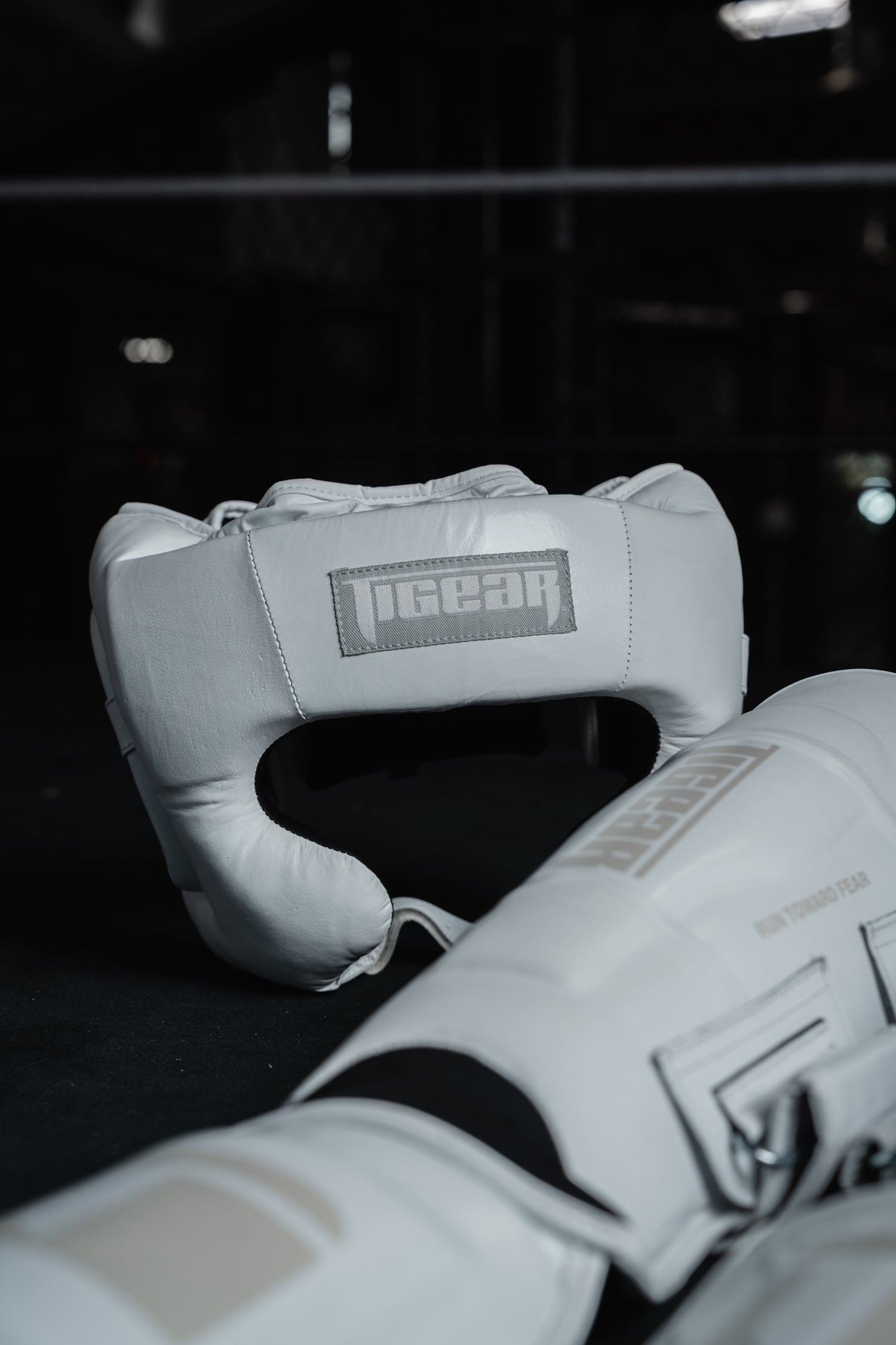 APEX4 Lunar Training Set