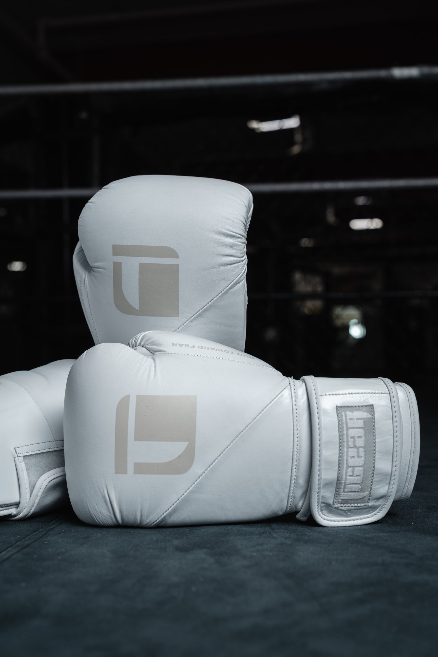 APEX4 Lunar Training Set