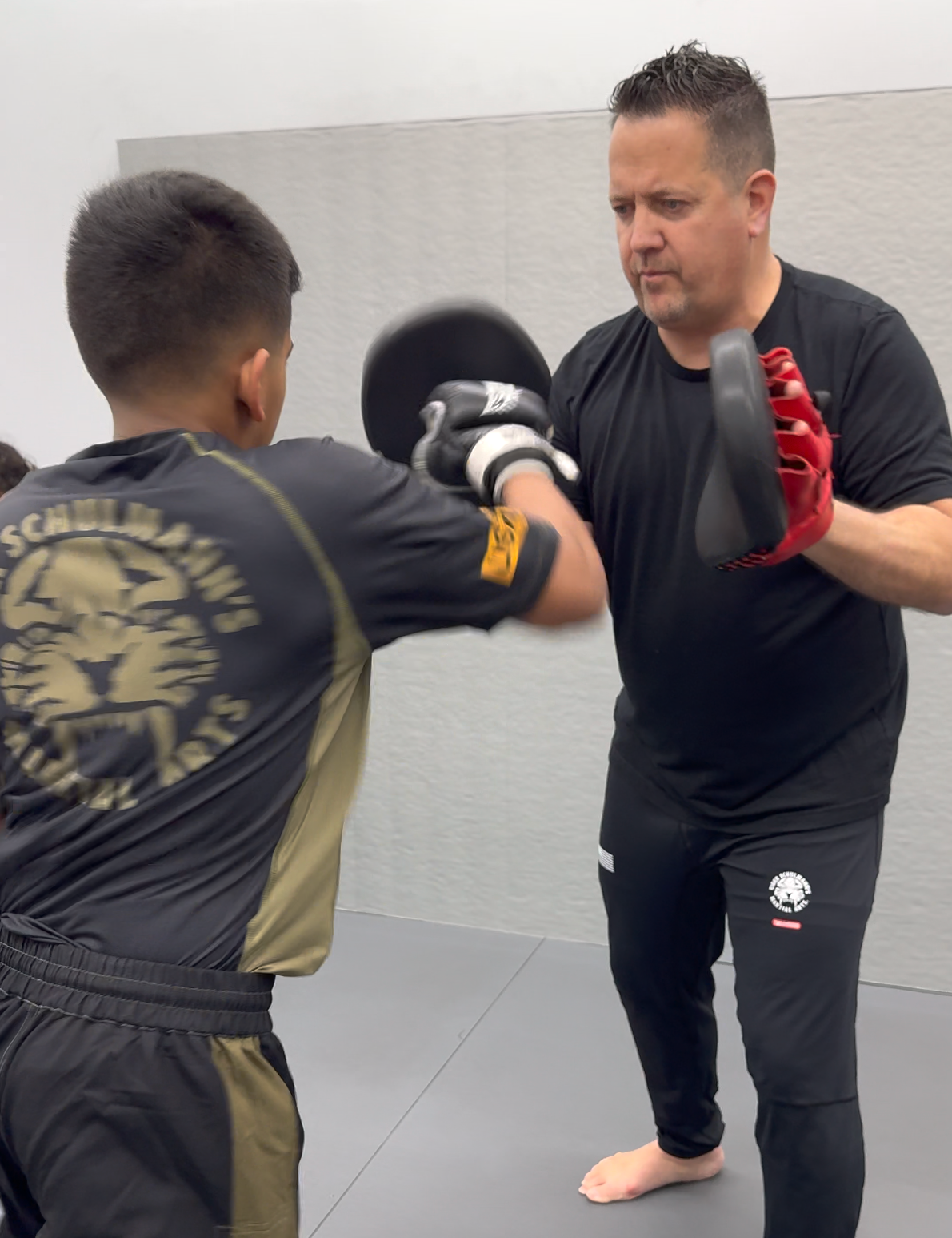 Professional Target Mitts