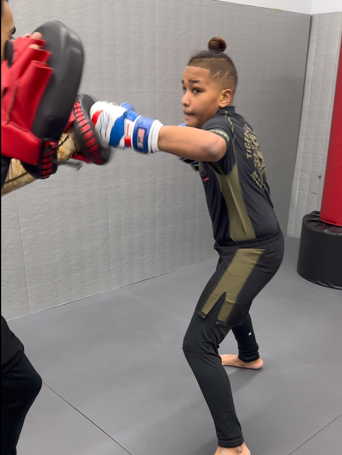 Professional Target Mitts