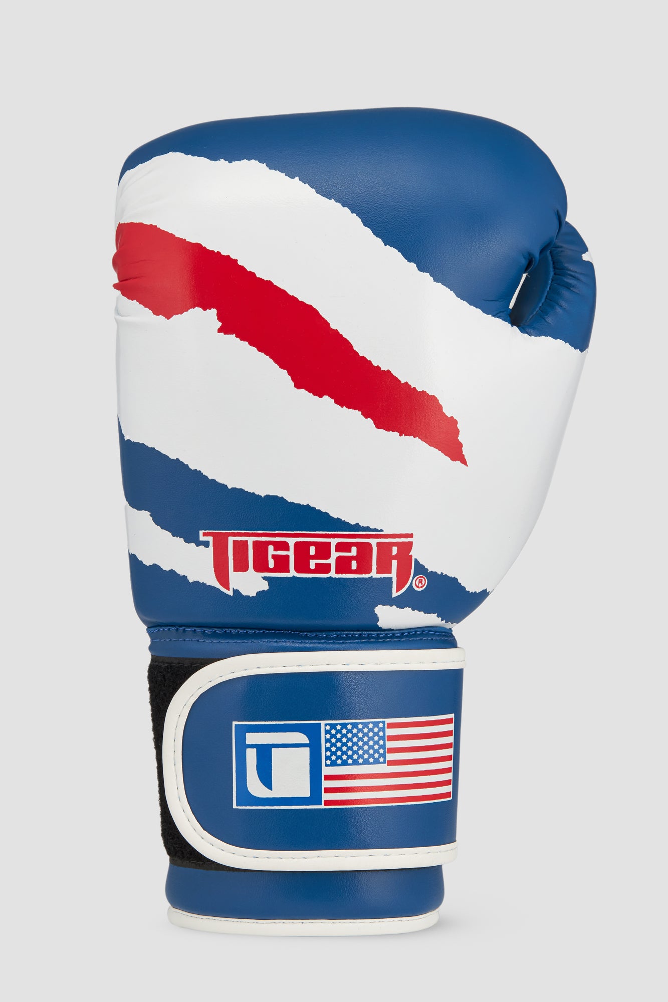 Training/Boxing Gloves Patriot