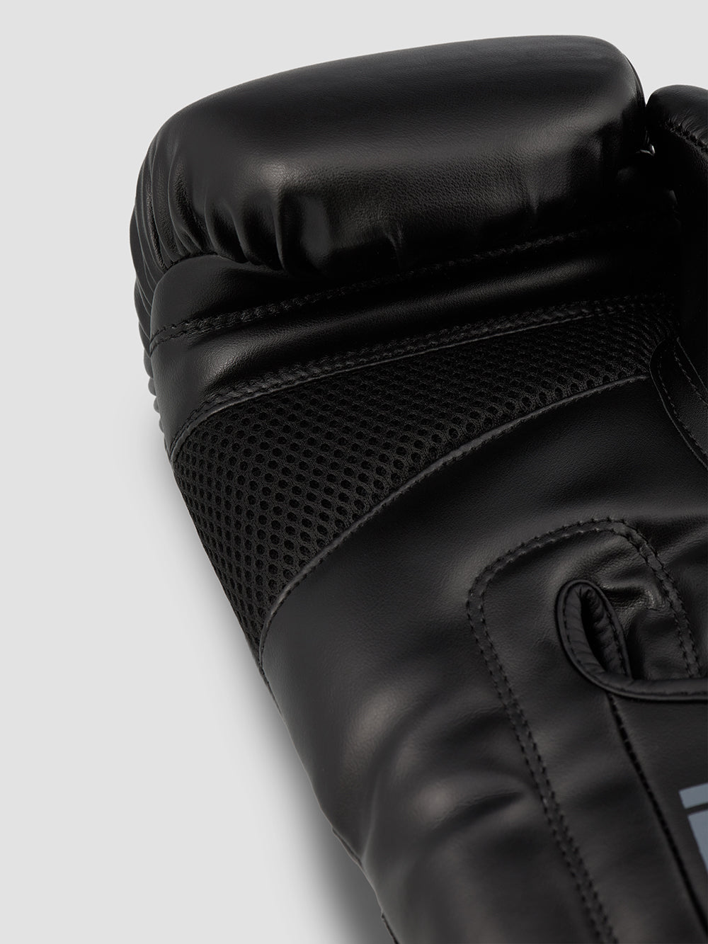 Training/Boxing Gloves Classic 2.0
