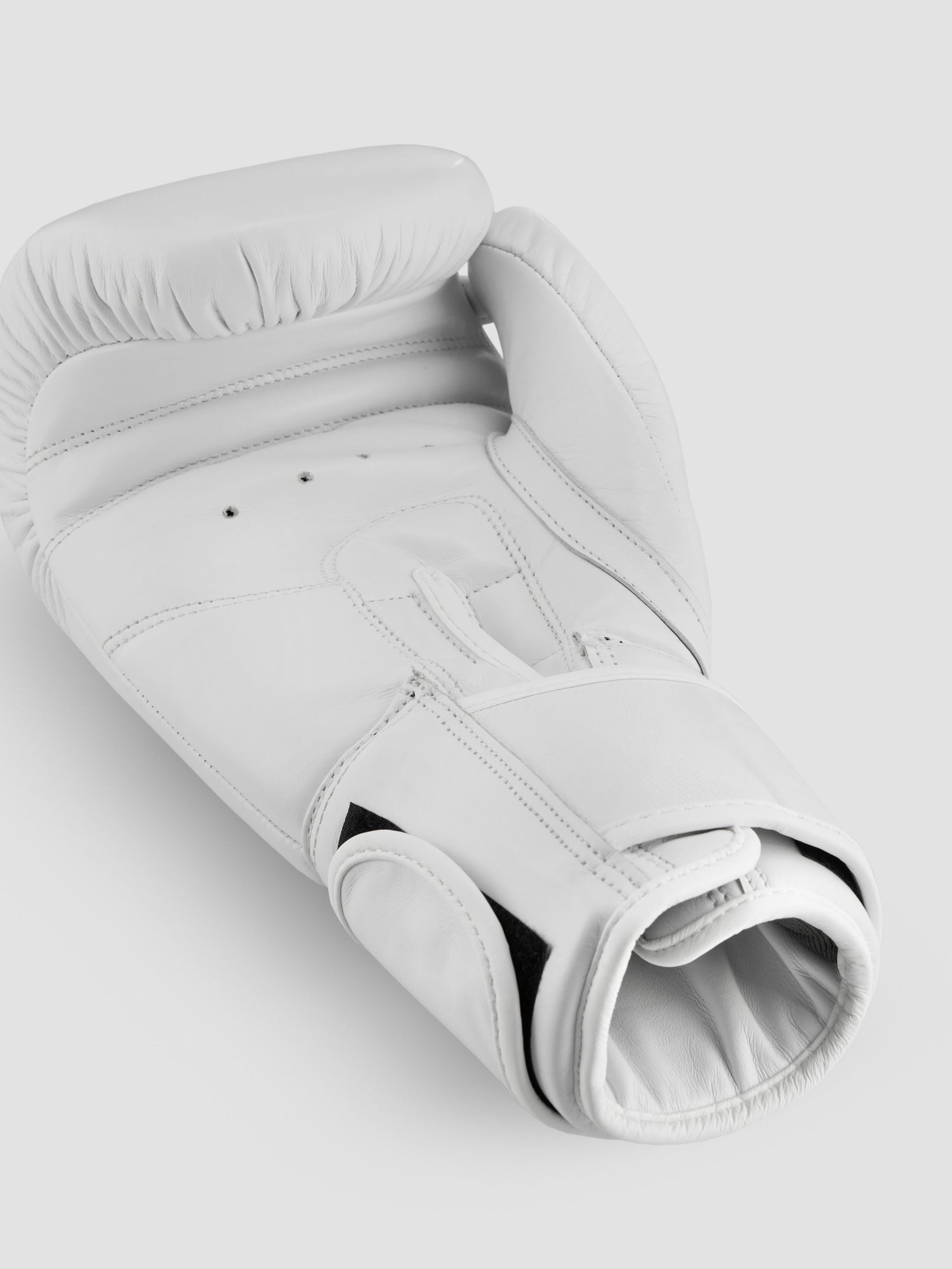 Training/Boxing Gloves Apollo