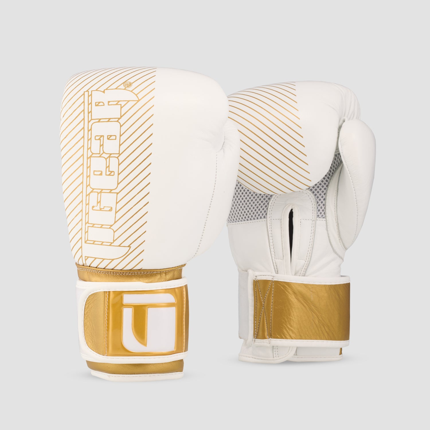 Training/Boxing Gloves 24K